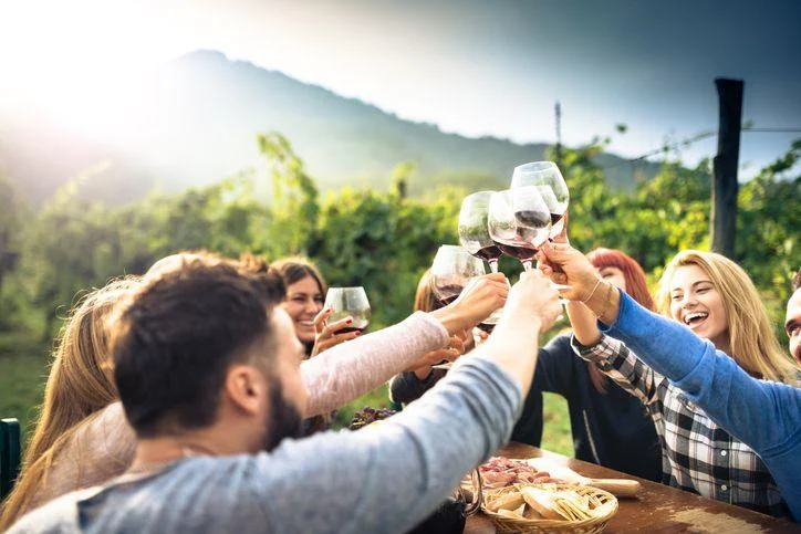 A group of people sitting outdoors at a table clink glasses of red wine together, with mountains and greenery in the background.