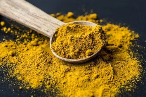 Closeup of tumeric powder spice on a spoon A spoonful of yellow powder.