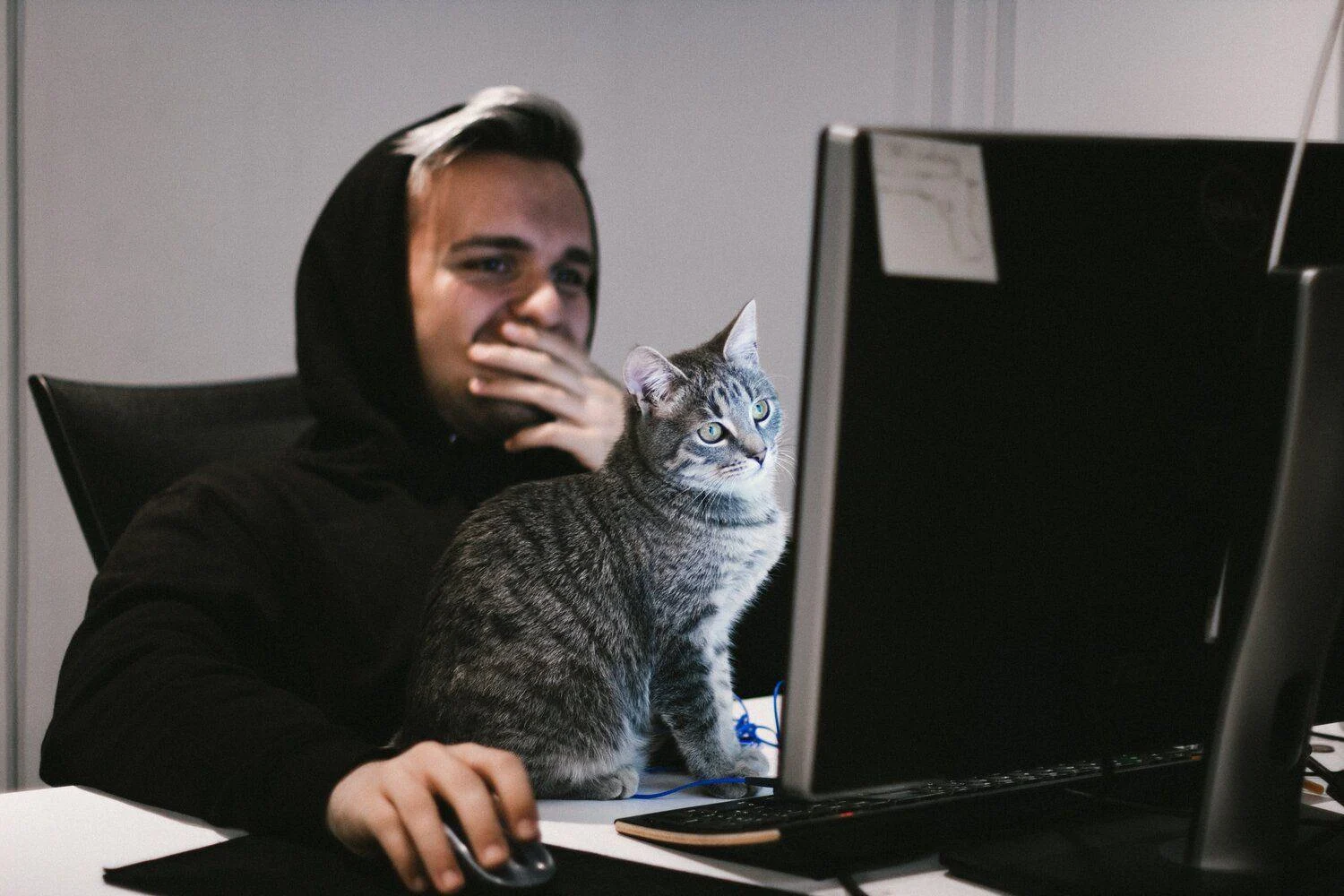 image-asset (2) A person in a black hoodie sits at a desk with a computer while a gray tabby cat sits on the desk in front of the monitor.